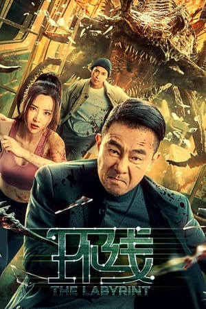 The Labyrinth (2022) Dual Audio HDRip | Dubbed Hindi Movie – 480p