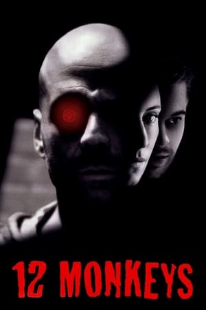Twelve Monkeys (1995) Dual Audio Movie | Dubbed Hindi Movie BluRay - 880MB